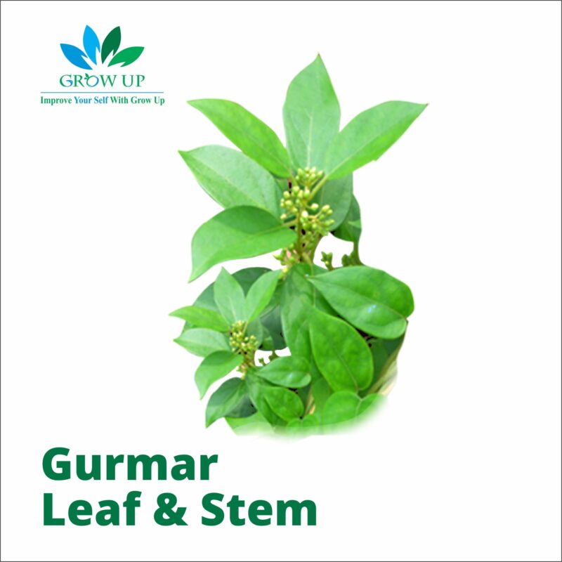 Gurmar Leaf & Stem